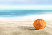 阿根廷代表队再获殊荣，名声大噪