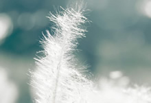 非洲顶级联赛刚刚闭幕，不少球员即将离队转会