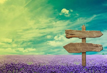 阿根廷代表队再获殊荣，名声大噪