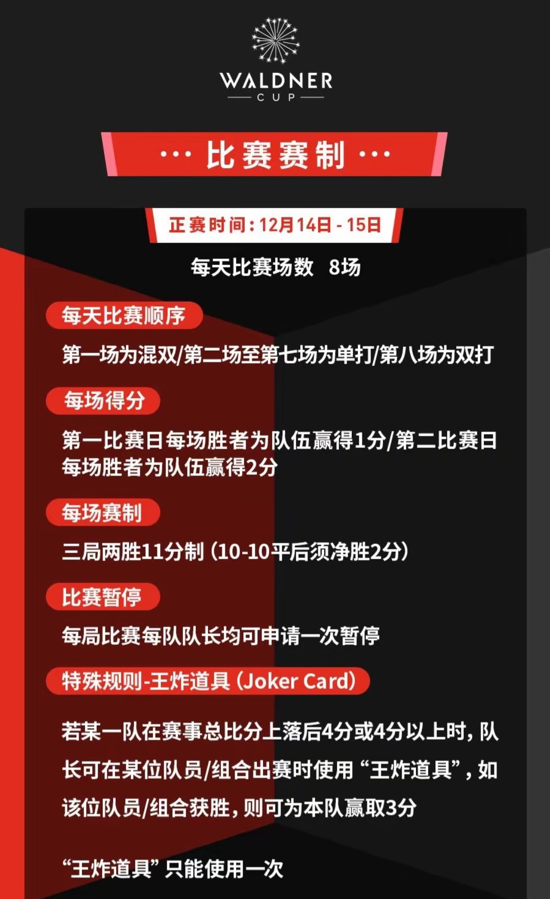 决赛之战引爆球迷热情，红蓝战队卫冕梦碎的简单介绍